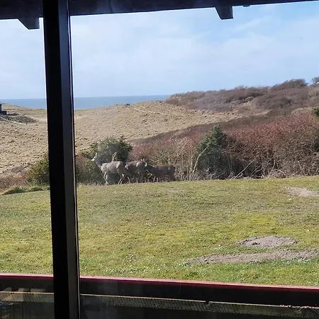 Sea View And Nature In Beautiful *