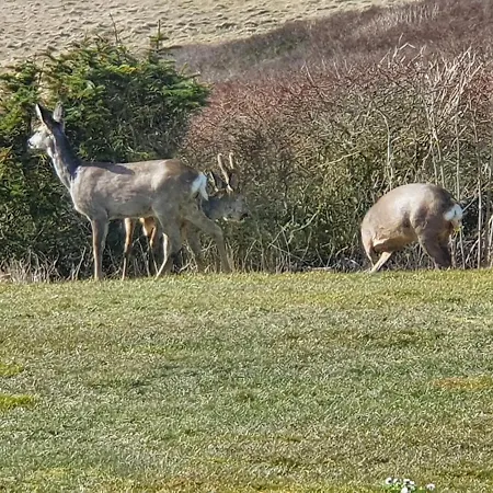 Sea View And Nature In Beautiful بيت للعطل