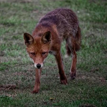 Sea View And Nature In Beautiful Lønstrup