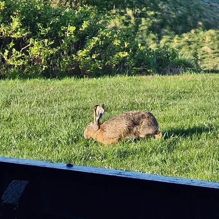 Sea View And Nature In Beautiful بيت للعطل *