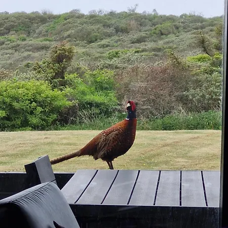 Sea View And Nature In Beautiful بيت للعطل Lønstrup