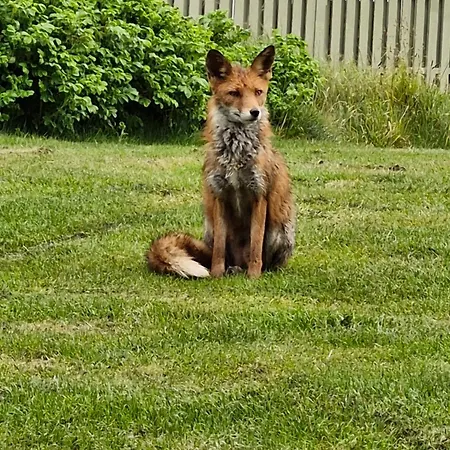 Sea View And Nature In Beautiful
